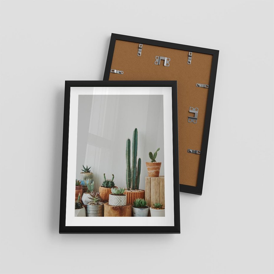 Plakat w ramie 30x40 - Naturalna Harmonia - kaktusy, liście - rama czarna