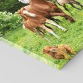 Obraz na płótnie 80x80 - Galopujące konie - konie, galop
