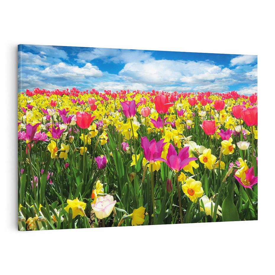 Obraz na płótnie 120x80 - tulipany na łące - kwiaty, tulipany