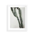 Plakat w ramie 30x40 - Zielona Roślina z Liśćmi - zielona roślina, liście - rama biała