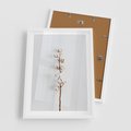 Plakat w ramie 50x70 - Minimalistyczna Gałązka Bawełny - bawełna, gałązka bawełny - rama biała