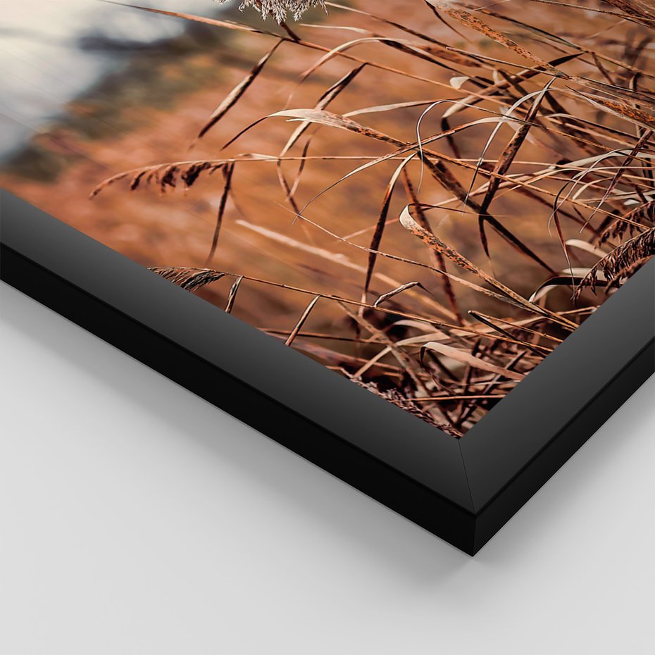 Zestaw obrazy w ramie 40x50 galeria - Lato, suche, trawy, wiatrak - rama czarna