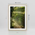 Plakat w ramie 50x70 - harmonia natury - las, drzewa - rama drewno