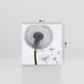 Obraz na płótnie 30x30 - Lekkość Przemijania - dmuchawiec, makro