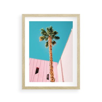 Plakat w ramie 50x70 - Palma w Miami - palma, miami - rama drewno