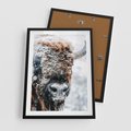 Plakat w ramie 50x70 - Żubr w Krainie Śniegu - żubr, zima - rama czarna