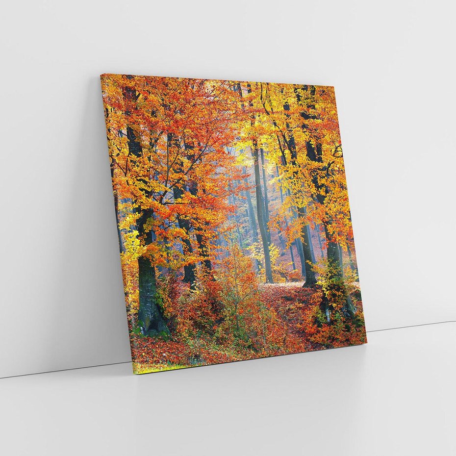 Obraz na płótnie 50x50 - Jesienny taniec lasu - jesień, las