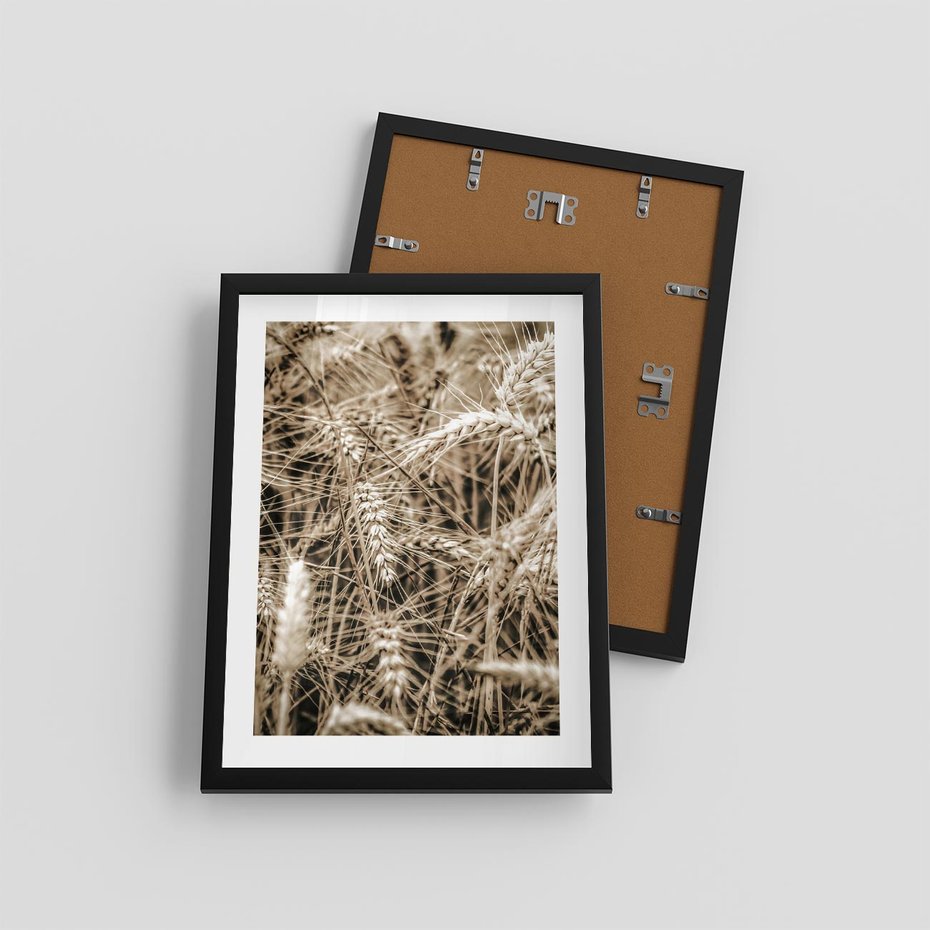 Plakat w ramie 30x40 - Zbliżenie na Kłosy Zboża - zboża, kłosy zboża - rama czarna