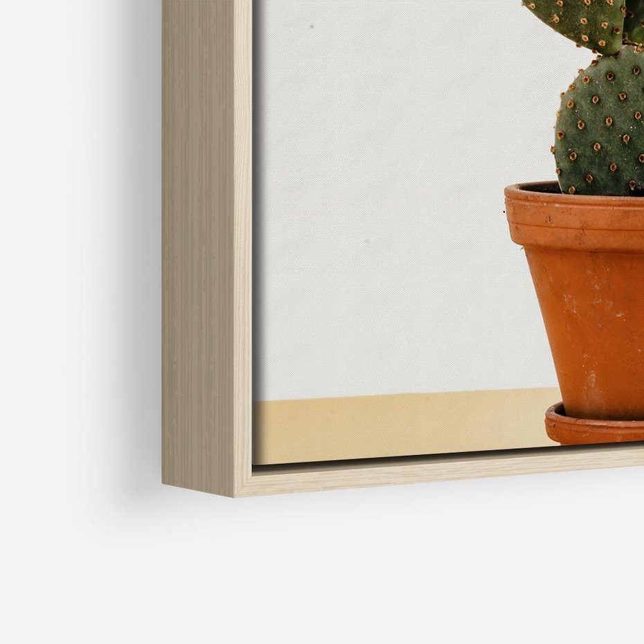 Obraz w ramie 50x50 - Kwiatowy taniec kaktusa - kaktus, kwiat - rama drewno