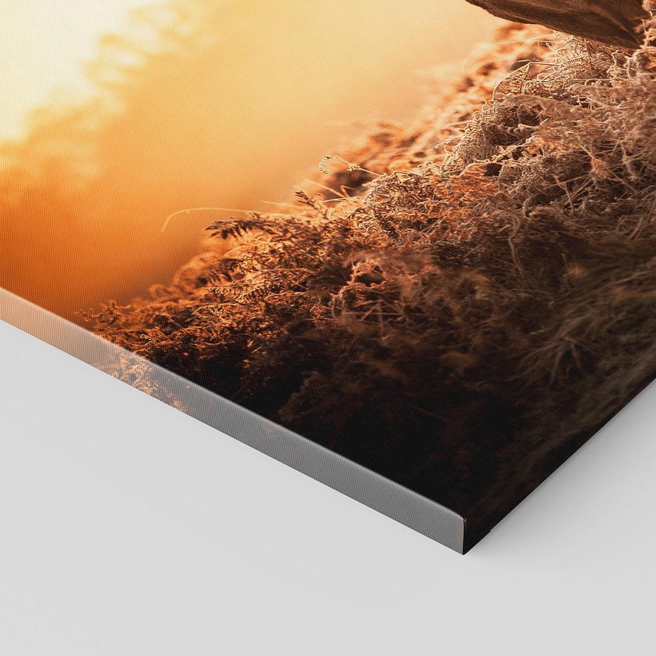 Obraz na płótnie 120x80 - Magia jesiennego słońca: Jeleń w promieniach - jeleń, jesień