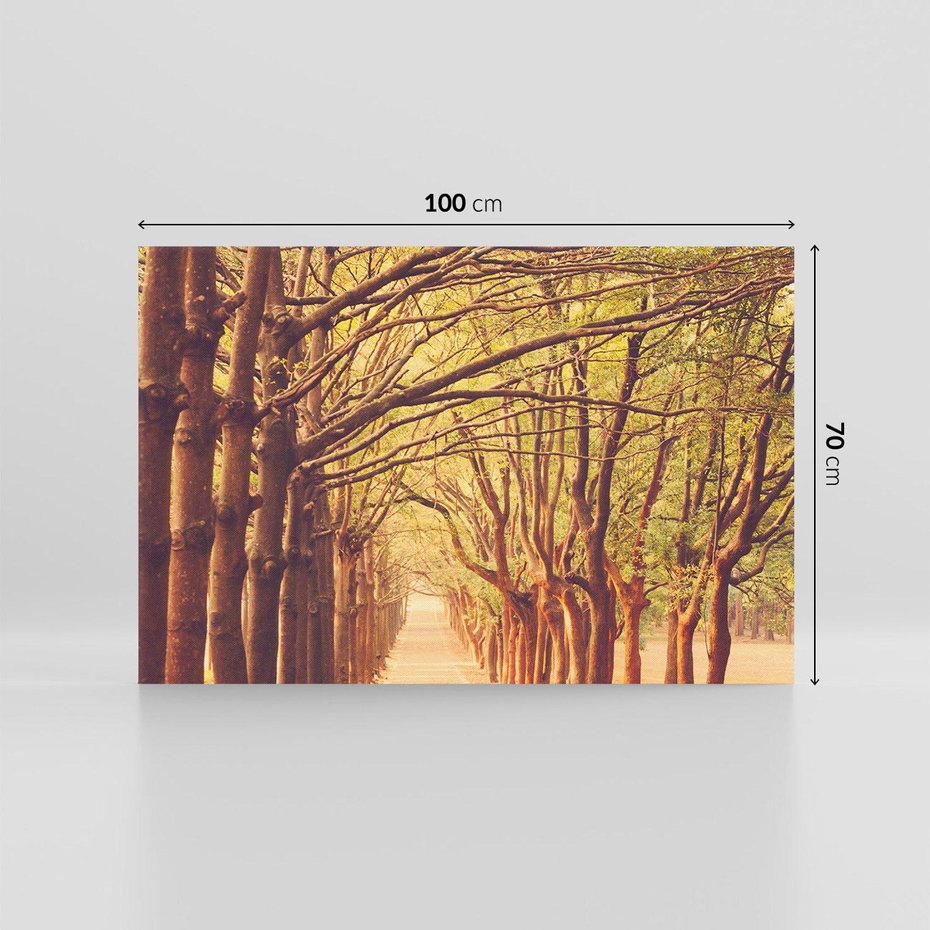 Obraz na płótnie 100x70 - Wędrówka między drzewami - droga, drzewa