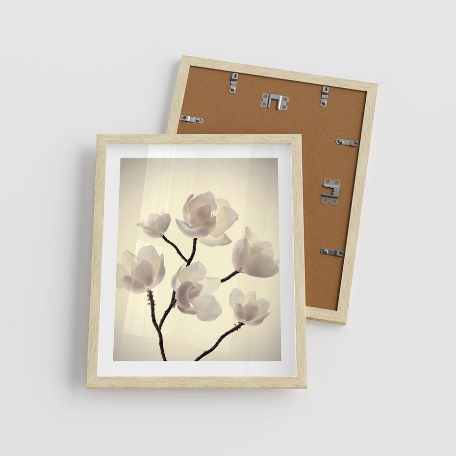 Plakat w ramie 40x50 - Elegancja Natury - magnolia, białe - rama drewno