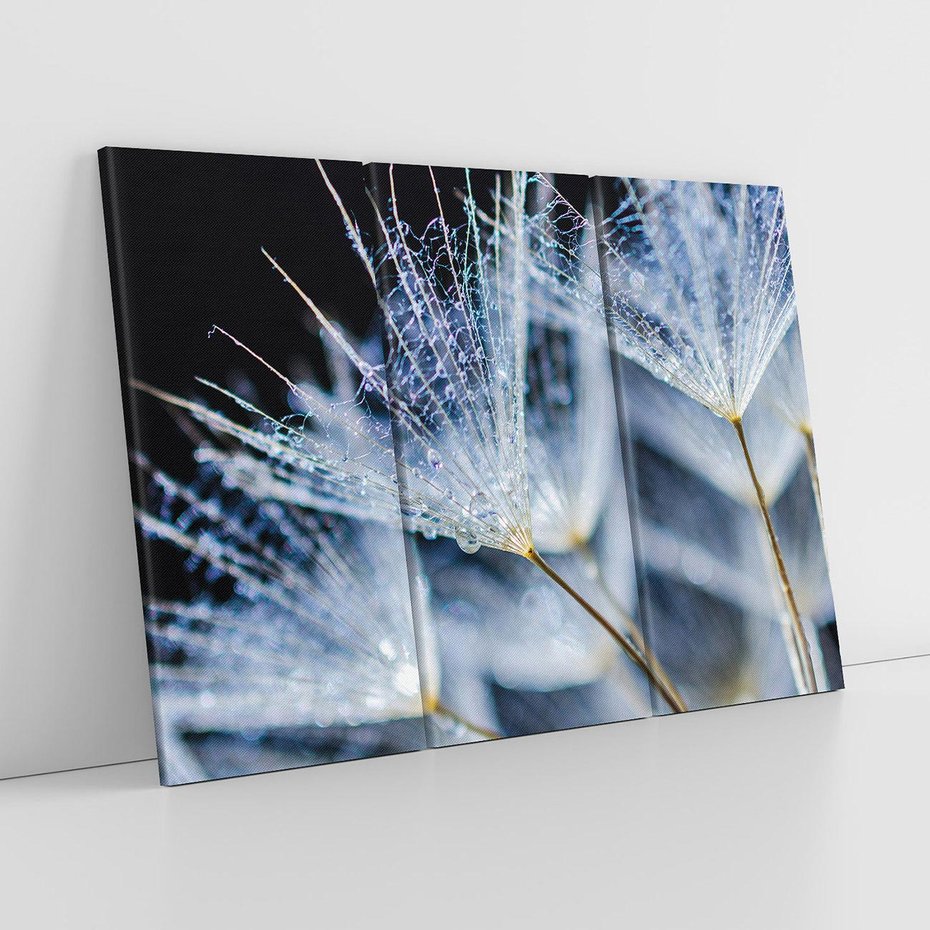 Obraz na płótnie 120x80 - Makro piękno dmuchawców - makro, dmuchawce