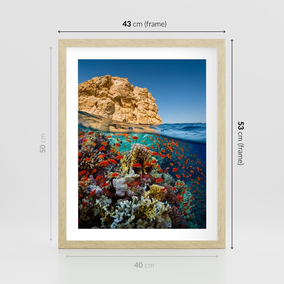Plakat w ramie 40x50 - Rafa koralowa w oceanie - rafa, koralowa - rama drewno