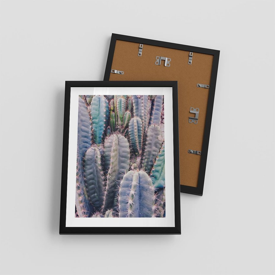 Plakat w ramie 30x40 - Kaktusowy Raj - kaktusy, dużo kaktusów - rama czarna