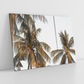 Obraz na płótnie 120x80 - Palmy - tęsknota za Hawajami - palmy, Hawaje