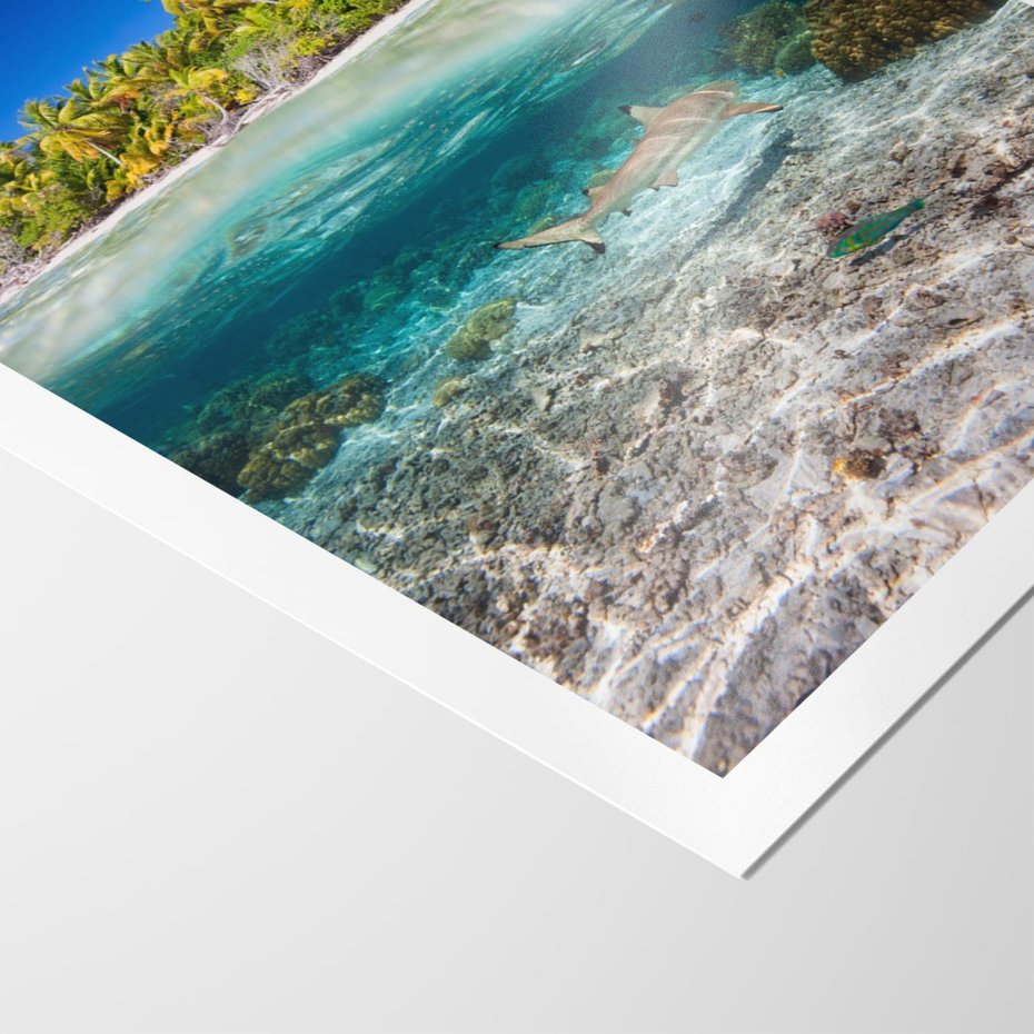 Plakat bez ramy 40x50 - Tropikalne Morze i Kolorowa Rafa - tropikalne, morze