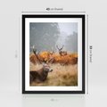 Plakat w ramie 40x50 - Malownicza Harmonia - jelenie, jesień - rama czarna