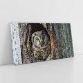Obraz na płótnie 120x60 - Tajemniczy W świecie Nocy - sowa, dziupla