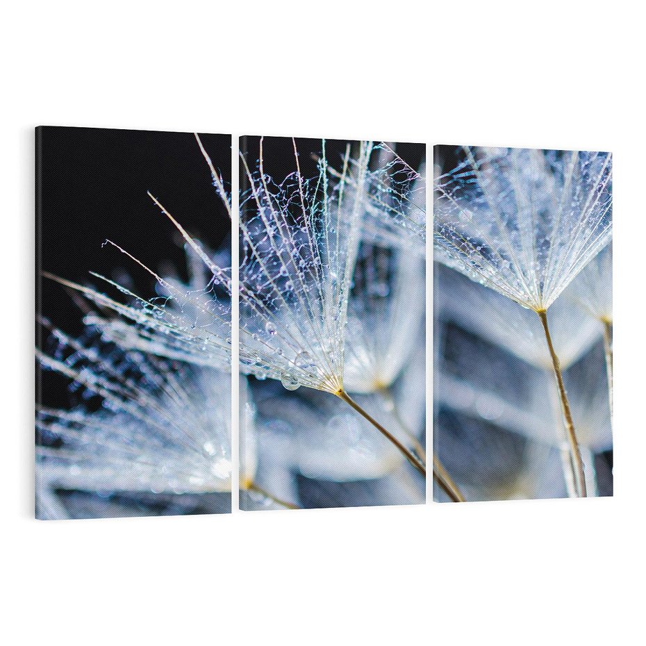 Obraz na płótnie 120x80 - Makro piękno dmuchawców - makro, dmuchawce