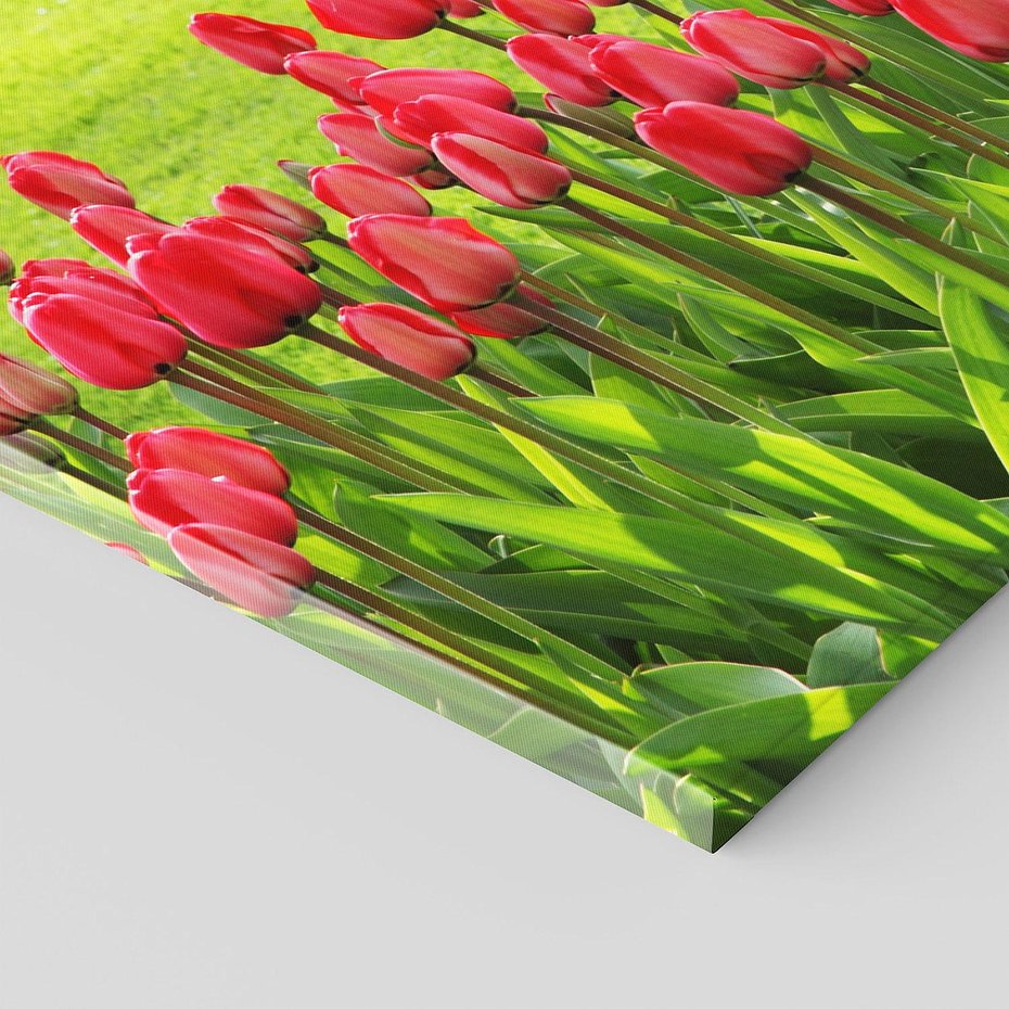 Obraz na płótnie 120x60 - Tulipanowy raj - kwiat, kwiaty