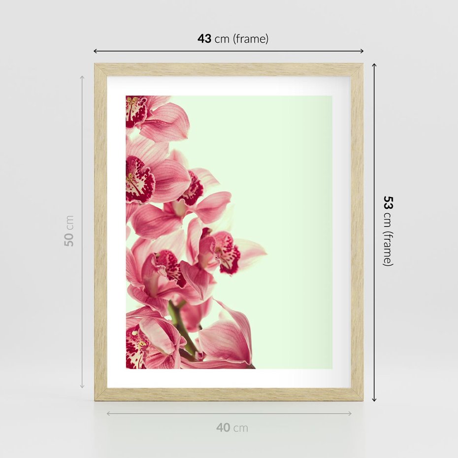 Plakat w ramie 40x50 - Orchidea - delikatne kwiaty - orchidea, kwiaty - rama drewno