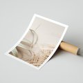 Plakat bez ramy 30x40 - Boho urok suchych liści - suche, liście