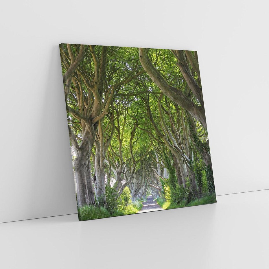 Obraz na płótnie 60x60 - Magiczny Las - drzewa, las