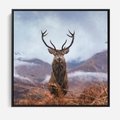 Obraz w ramie 50x50 - Jeleń w Uśpionym Krajobrazie - jeleń na tle gór, ośnieżone góry - rama czarna