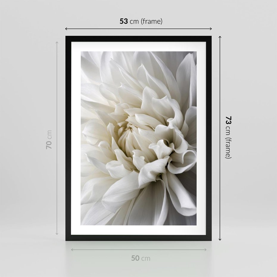 Plakat w ramie 50x70 - Białe Kwiaty Delikatności - białe, kwiaty - rama czarna