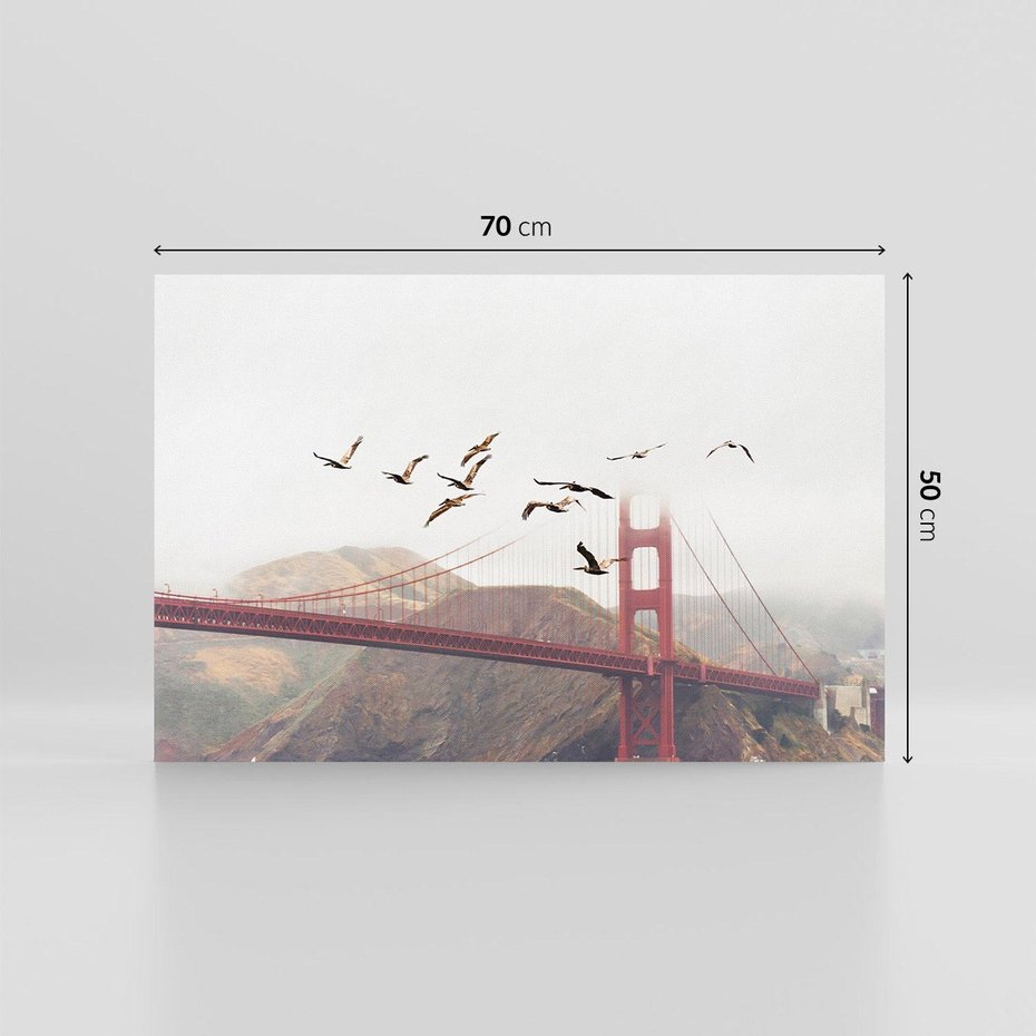 Obraz na płótnie 70x50 - Mewy przy Złotej Bramie - mewy, Golden Gate