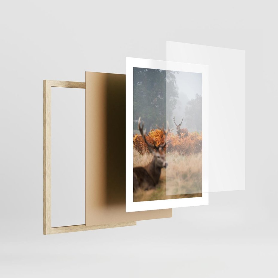 Plakat w ramie 30x40 - Malownicza Harmonia - jelenie, jesień - rama drewno