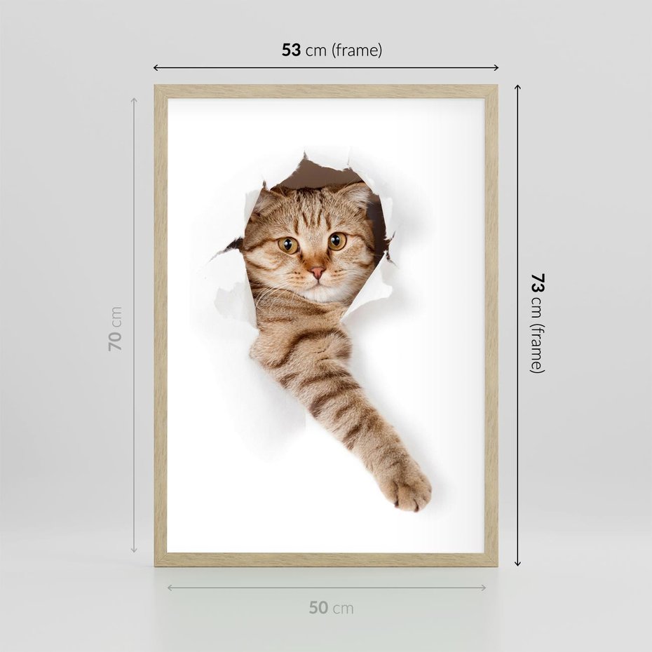 Plakat w ramie 50x70 - Kot w Dziurze - kot, dziura - rama drewno