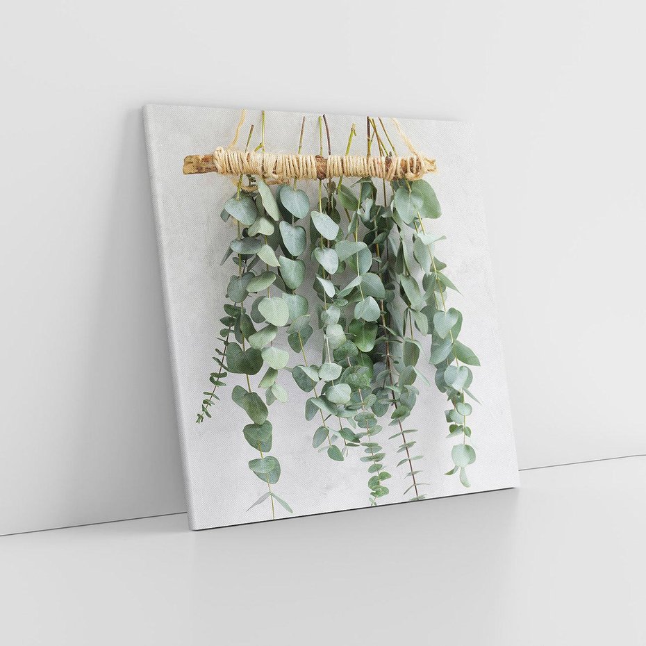 Obraz na płótnie 60x60 - Uwodzicielska zieleń eukaliptusa - eukaliptus, zielone