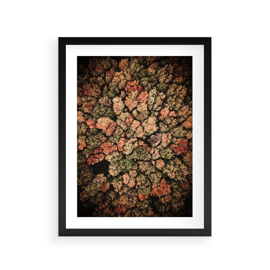 Plakat w ramie 30x40 - Jesień z Lotu Ptaka: Malowniczy Las - las jesienią z lotu ptaka - rama czarna