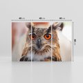 Obraz na płótnie 120x80 - Mądra sowa w locie - sowa, ptak
