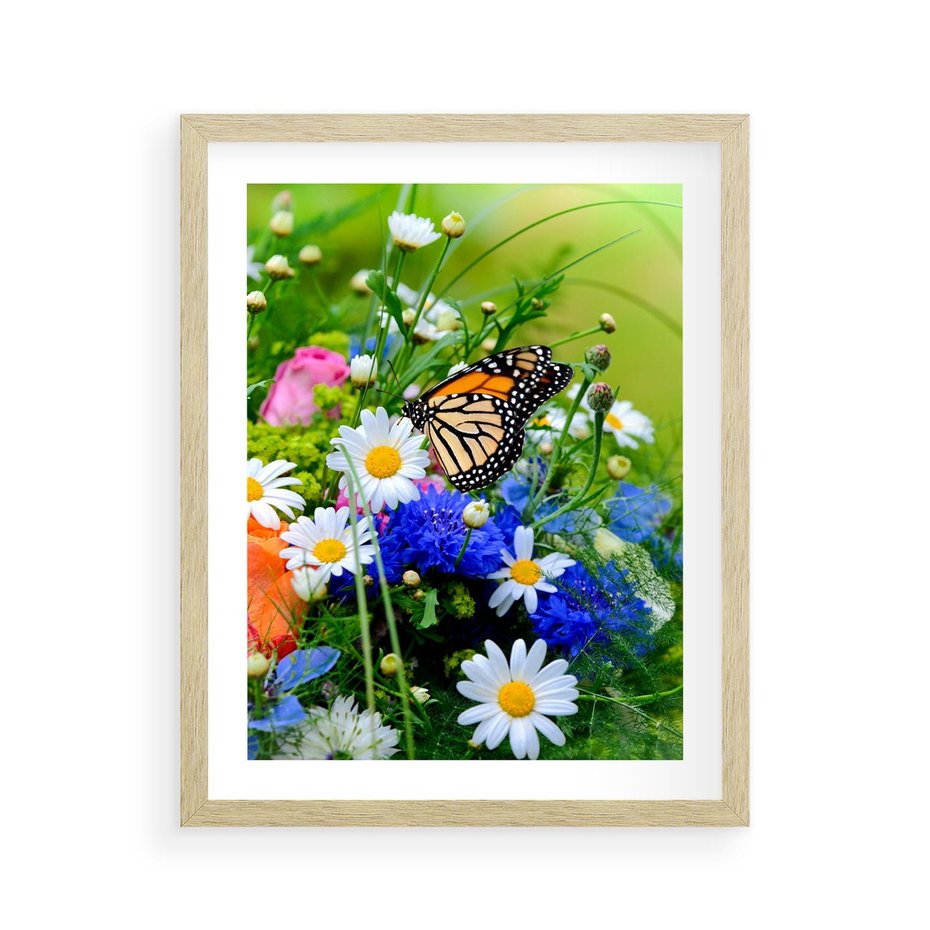 Plakat w ramie 40x50 - Kwiatowy Taniec - motyl, kwiaty - rama drewno