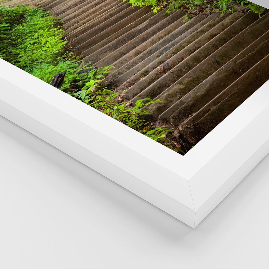 Plakat w ramie 30x40 - Magia Leśnej Ścieżki - ścieżka, w lesie - rama biała