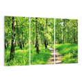 Obraz na płótnie 120x80 - odkryj piękno drzew - las, drzewa