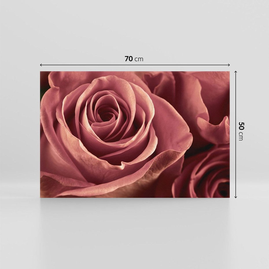 Obraz na płótnie 70x50 - Romantyczna Róż - róża, kwiat