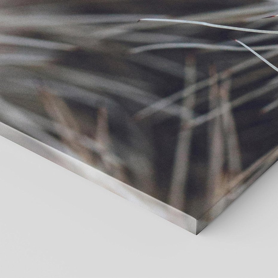 Obraz na płótnie 120x40 - Ulotna Piękność Natury - makro, dmuchawce