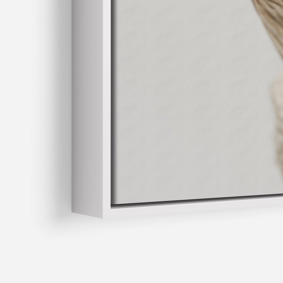 Obraz w ramie 80x120 - Suszone piękno - susz, suche - rama biała