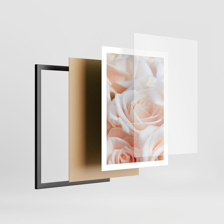 Plakat w ramie 50x70 - Aromatyczna Piękność - płatki herbacianej róży, kwiaty - rama czarna