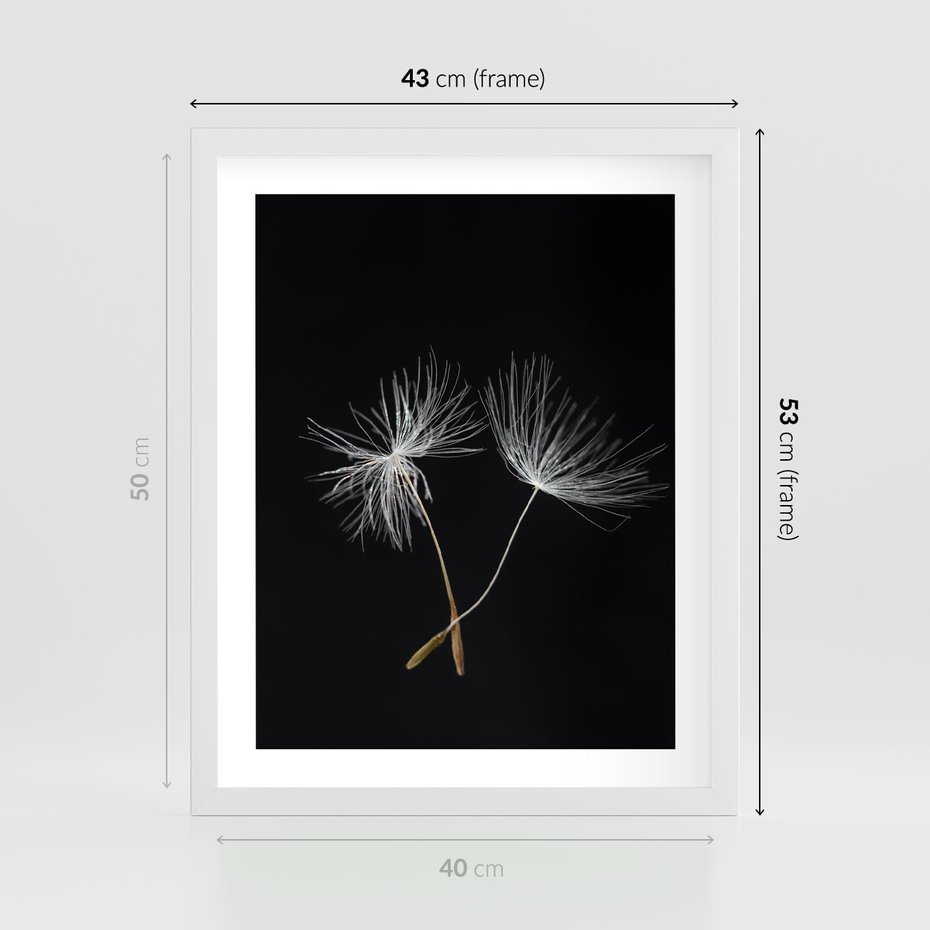 Plakat w ramie 40x50 - Delikatność Wiatru - dmuchawce, makro - rama biała