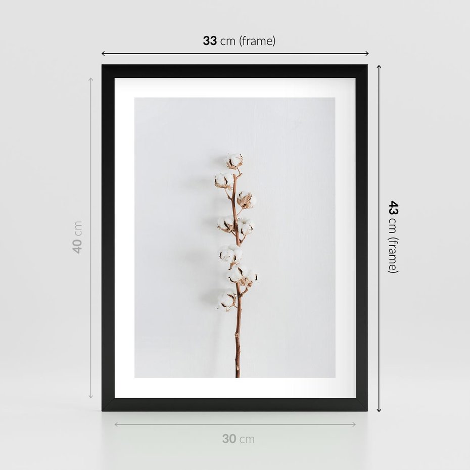 Plakat w ramie 30x40 - Minimalistyczna Gałązka Bawełny - bawełna, gałązka bawełny - rama czarna