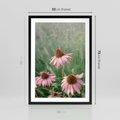 Plakat w ramie 50x70 - Natura w Pełnym Blasku - kwiaty na łące, różowe kwiaty polne - rama czarna