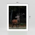Plakat bez ramy 40x50 - Spotkanie z naturą - jeleń, las