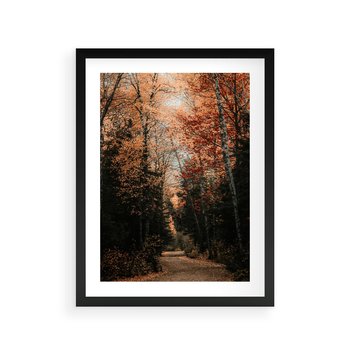Plakat w ramie 30x40 - Drzewa w Czerwonych Liściach - las, jesienny las - rama czarna