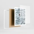 Plakat w ramie 40x50 - Zima w Detalu: Gałęzie ze Szronem i Śniegiem - śnieg, zima - rama biała