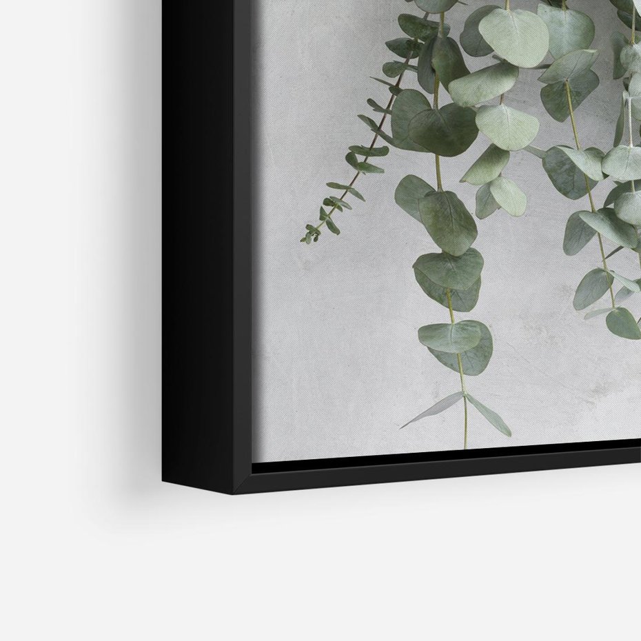Obraz w ramie 50x50 - Uwodzicielska zieleń eukaliptusa - eukaliptus, zielone - rama czarna